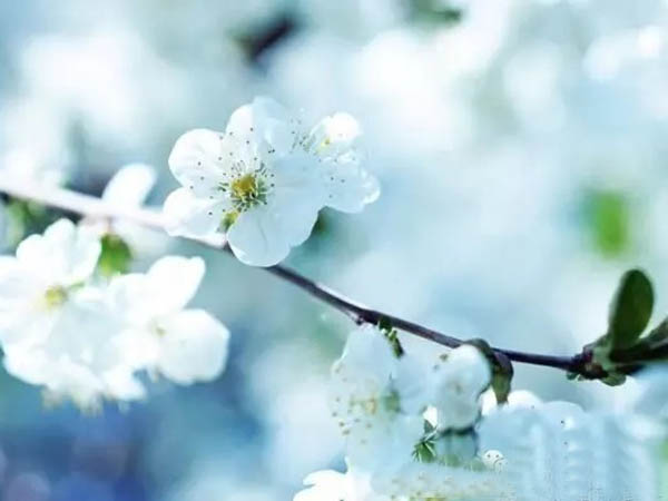 勤儉家風(fēng) 一脈傳承