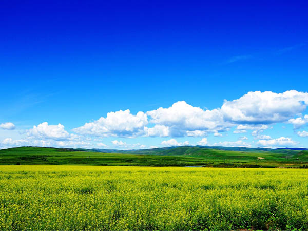 學(xué)校油煙抽排系統(tǒng)清洗項(xiàng)目招標(biāo)公告