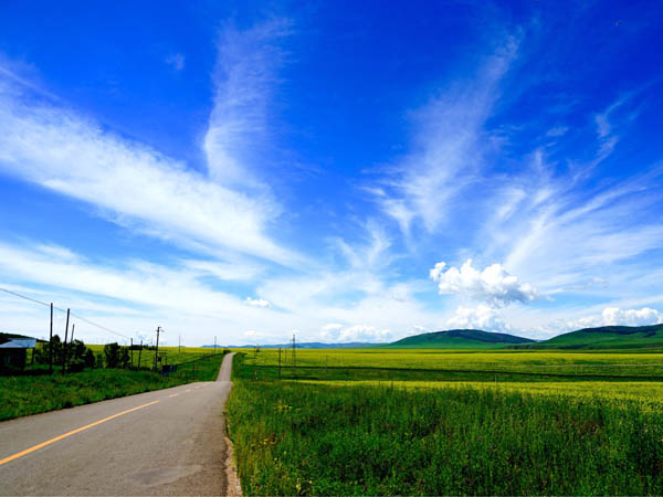 網(wǎng)絡(luò)安全知識(shí)